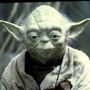 Meet your Posher, Kalid